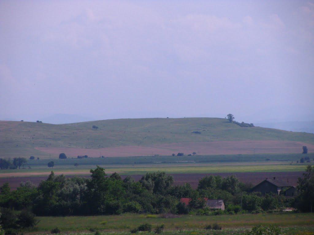 Вовчківці з panoramio.com - Вовчківці