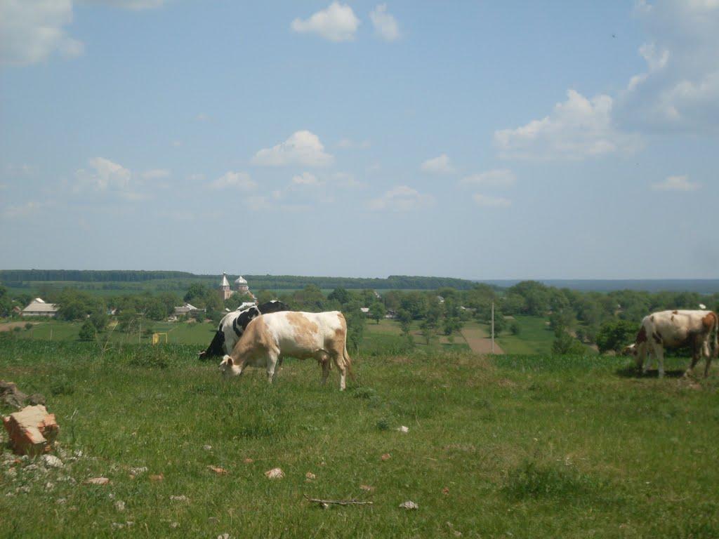 Карбівка з panoramio.com - Карбівка