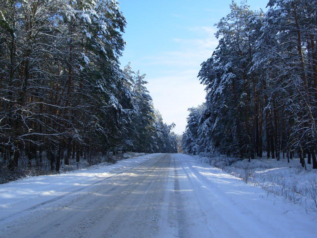Пролетарське з panoramio.com - Пролетарське