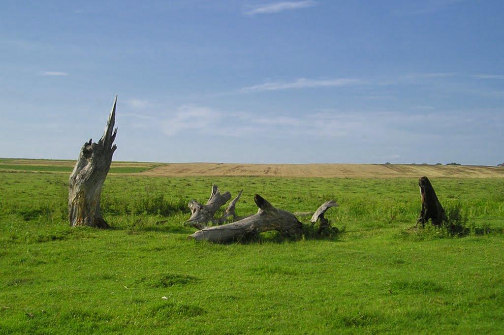 Нововолинськ з panoramio.com - Нововолинськ