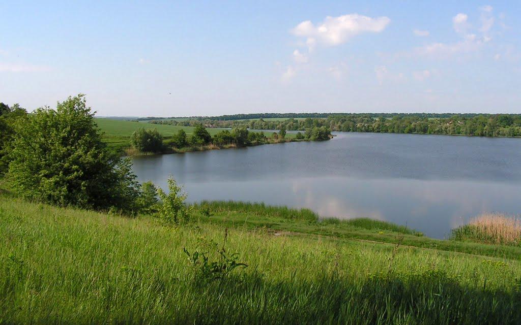 Сорокотяга з panoramio.com - Сорокотяга