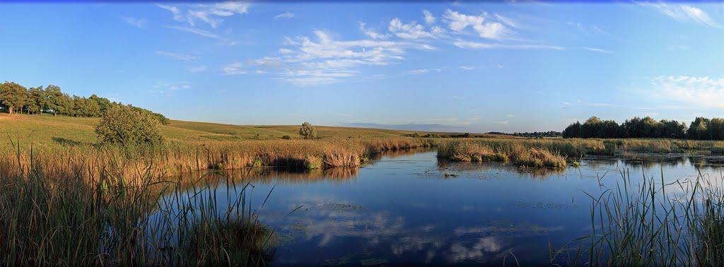 Рідкодуби з panoramio.com - Ridkoduby