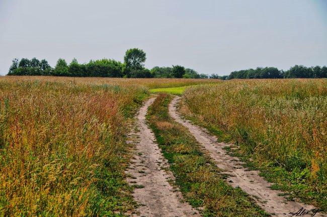 Перше Травня з panoramio.com - Перше Травня