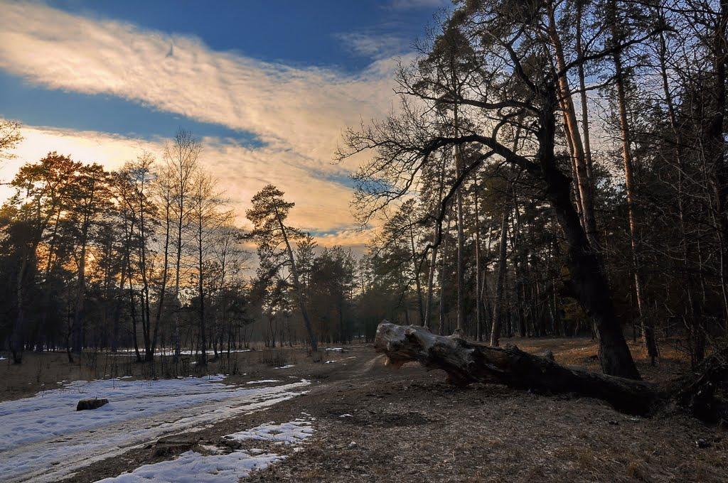 Кремінна з panoramio.com - Кременная