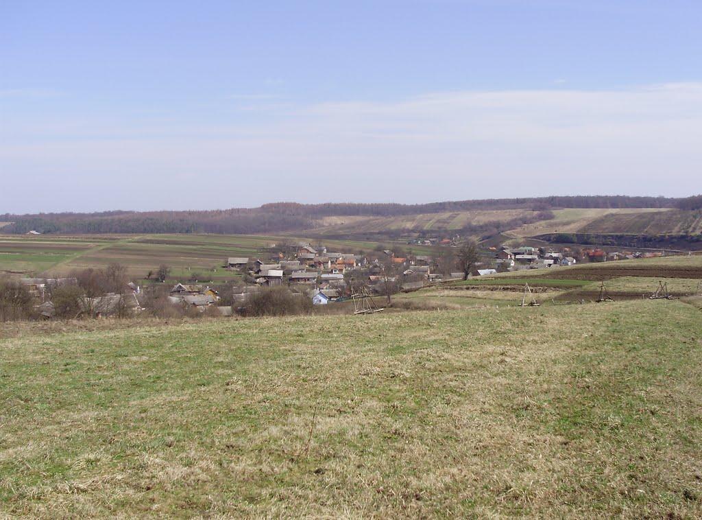 Лопушна з panoramio.com - Лопушна