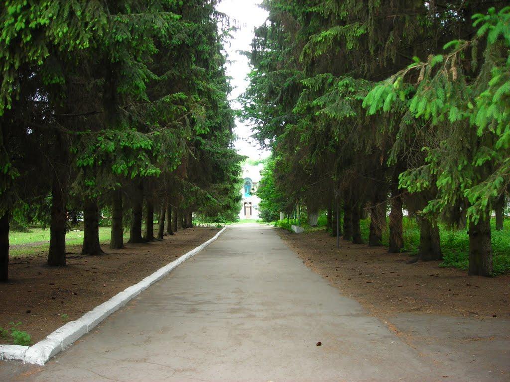 Березова Рудка з panoramio.com - Березовая Рудка