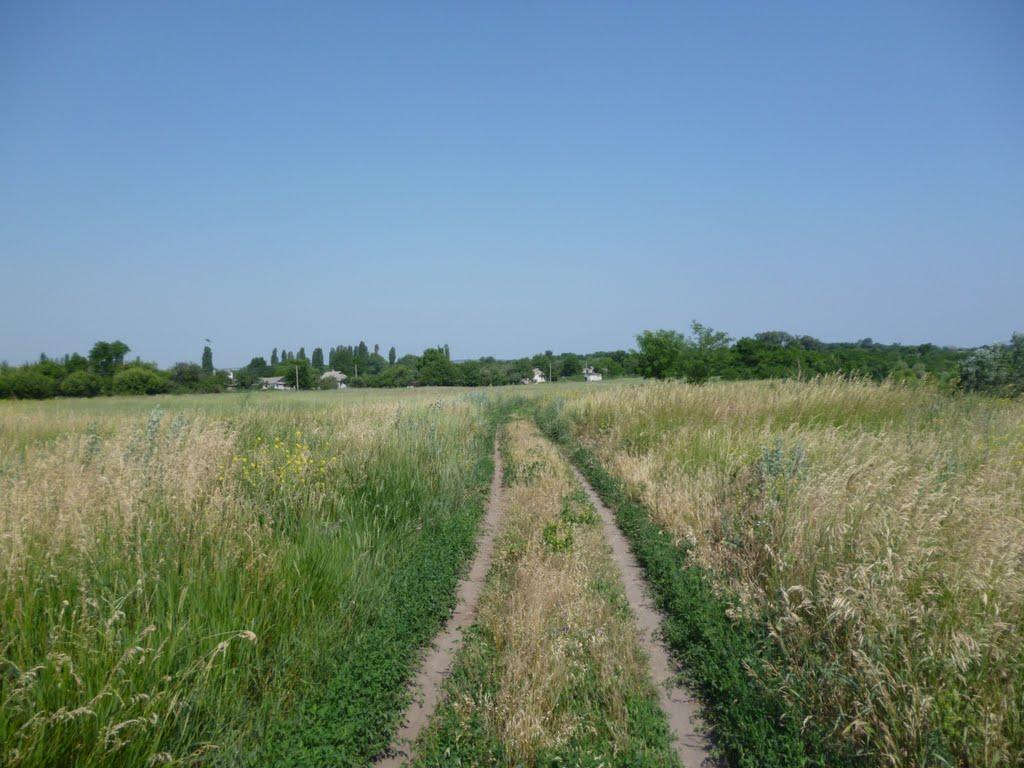 Дніпровокам'янка з panoramio.com - Дніпровокам'янка
