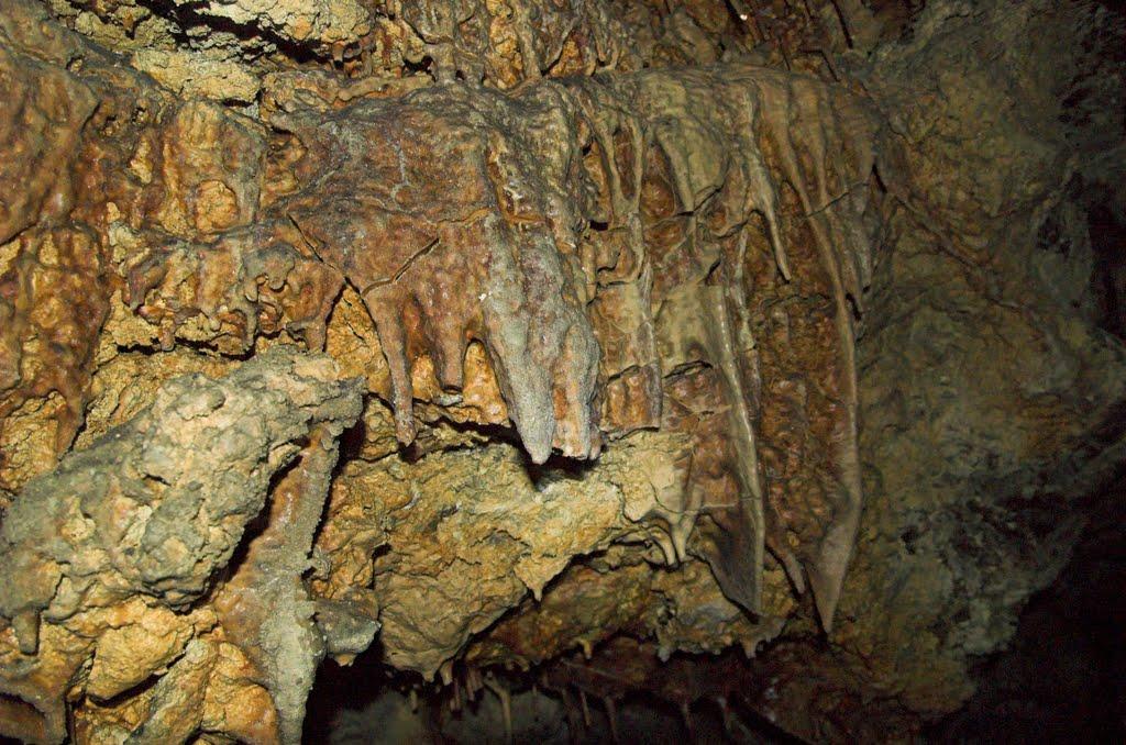 Залісся з panoramio.com - Залісся