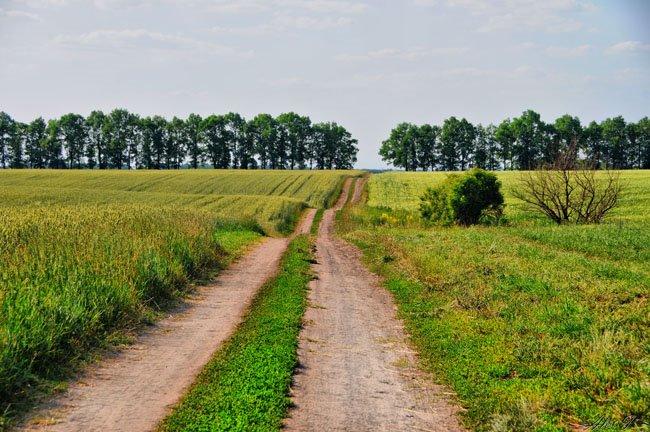 Перше Травня з panoramio.com - Pershe Travnya