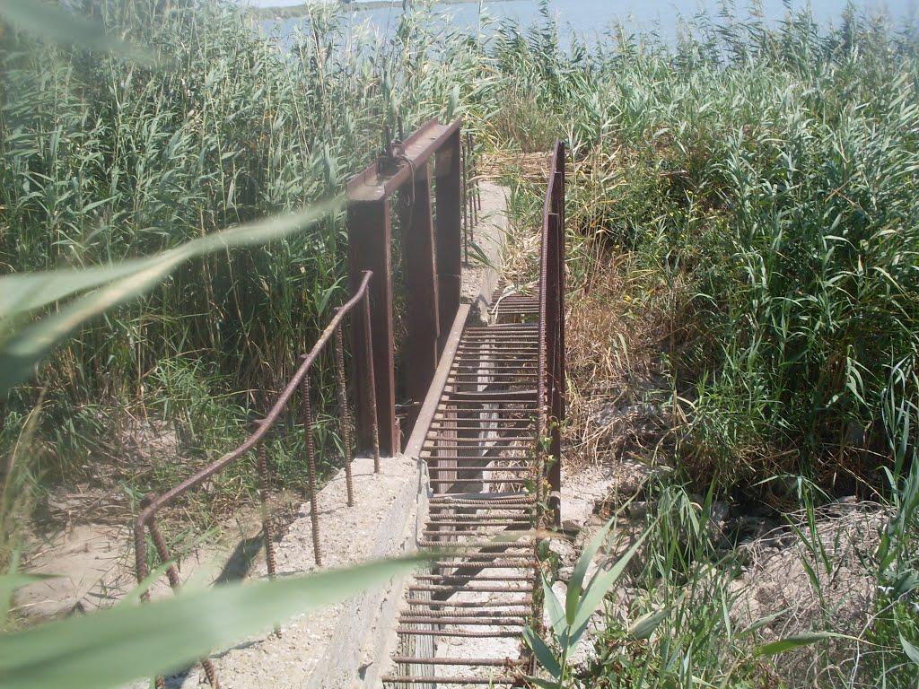 Рисове з panoramio.com - Рисовое