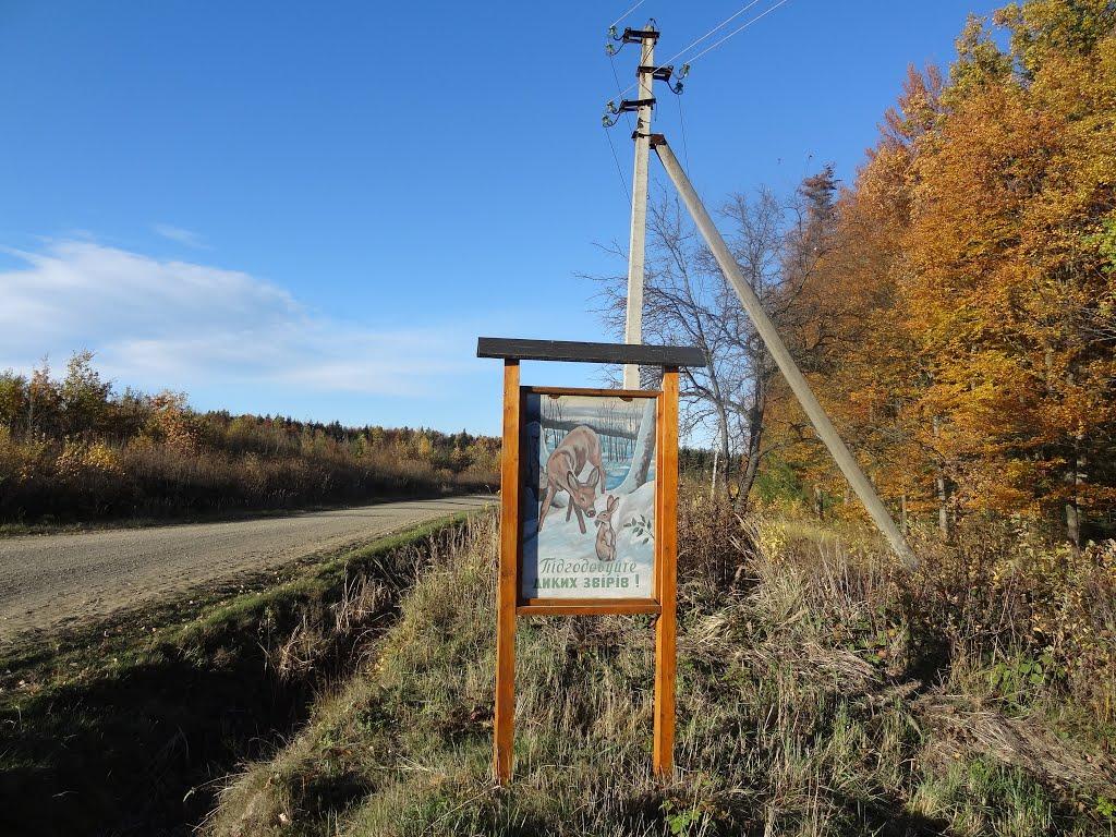 Корчівці з panoramio.com - Корчівці