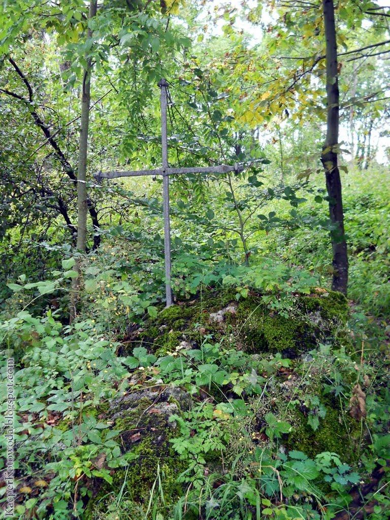 Дев'ятир з panoramio.com - Девятир