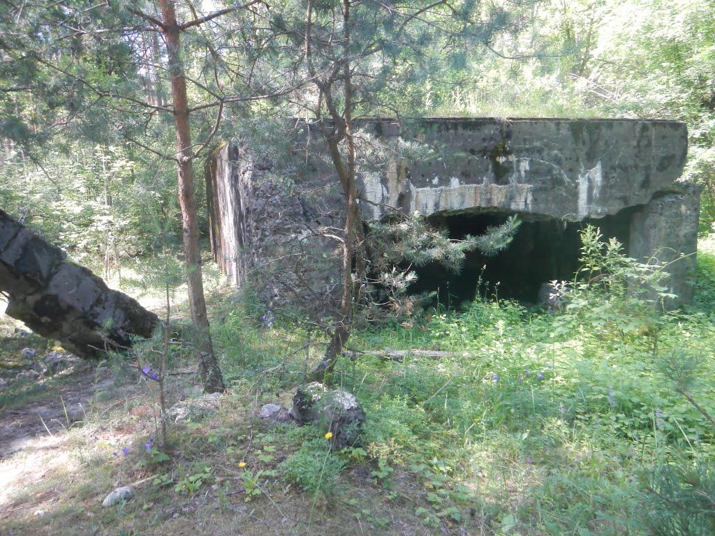 Дубняки з panoramio.com - Дубняки