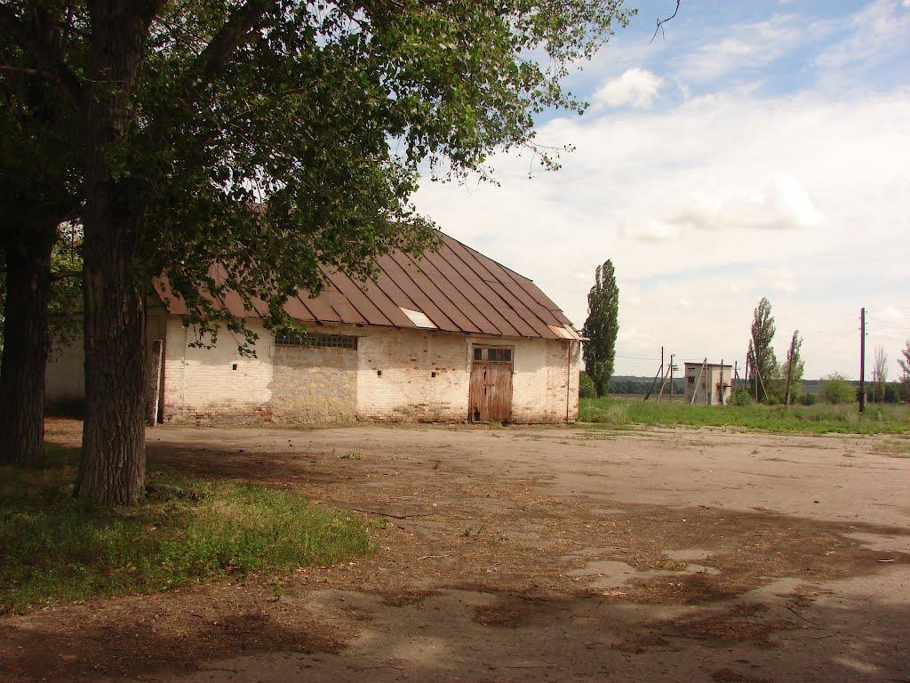 Новий Донбас з panoramio.com - Новый Донбасс