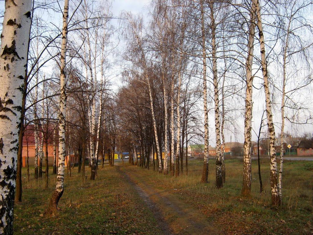 Верхнє Піщане з panoramio.com - Верхнее Песчаное