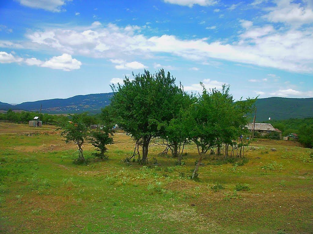 Нагірне з panoramio.com - Нагорное