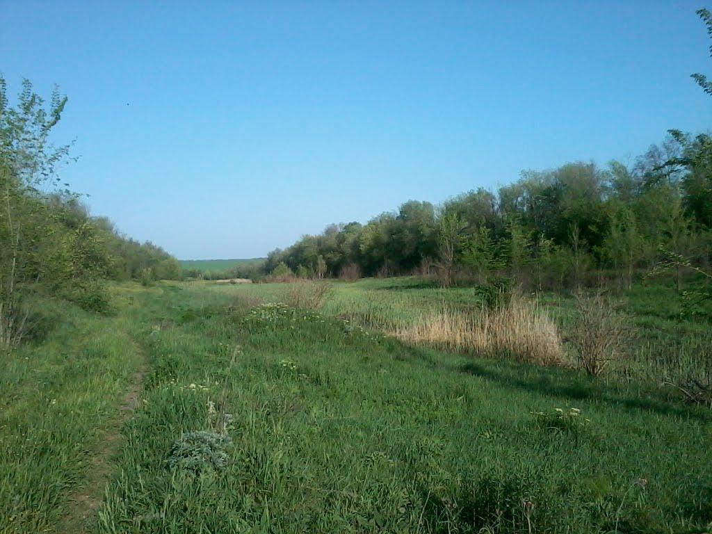 Українське з panoramio.com - Украинское