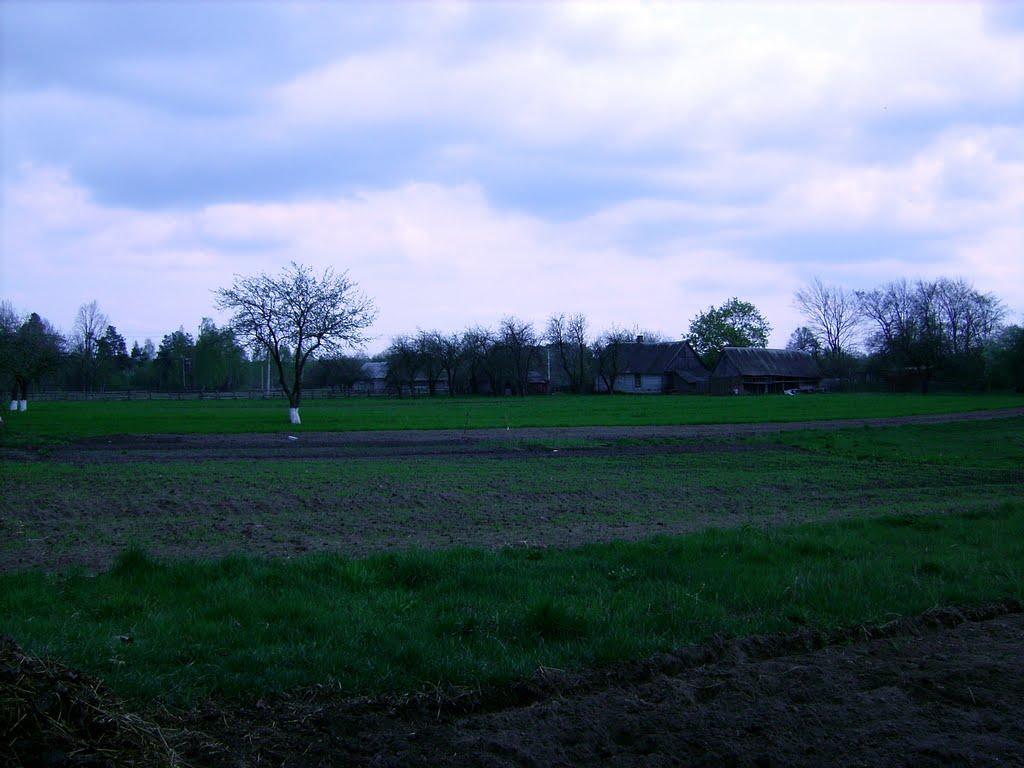 Полянка з panoramio.com - Полянка