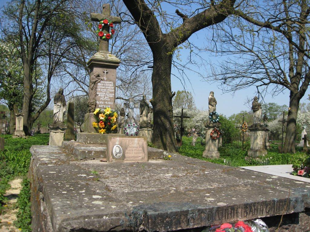 Заздрість з panoramio.com - Заздрість