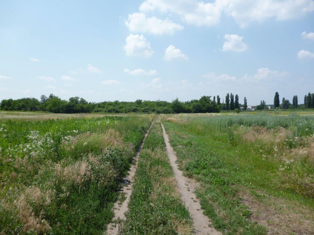 Дніпровокам'янка з panoramio.com - Dniprovokamyanka