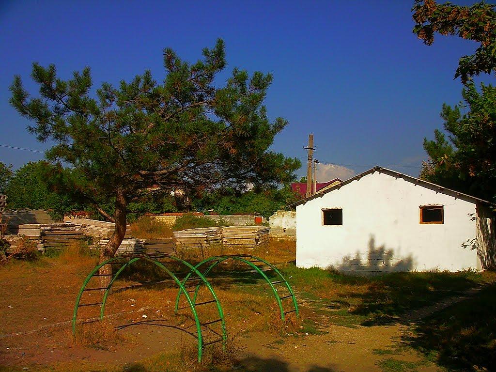 Поштове з panoramio.com - Поштове