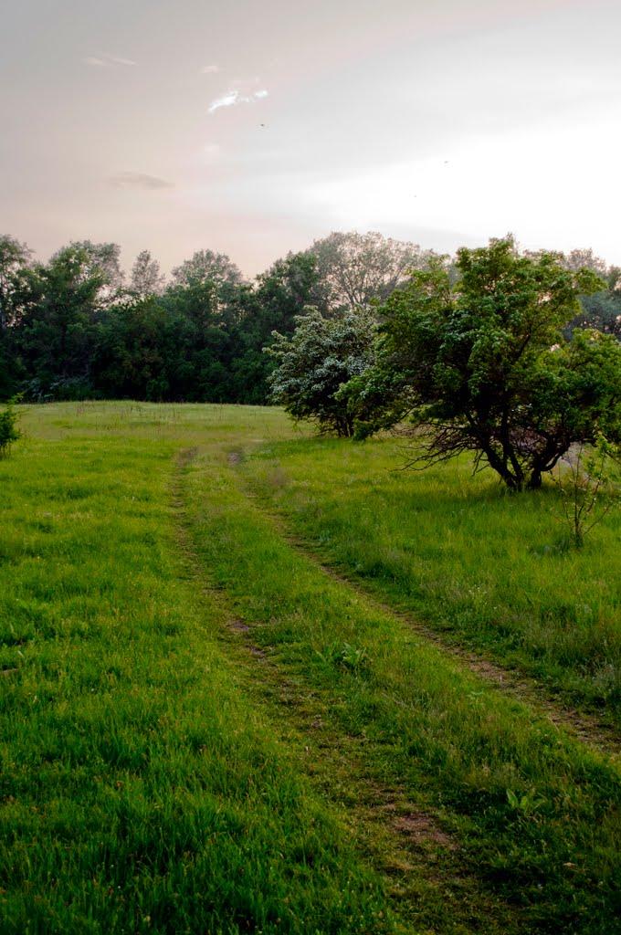 Глоди з panoramio.com - Глоди