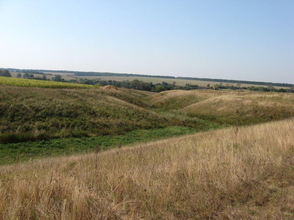 Мирошниківка з panoramio.com - Мирошниковка