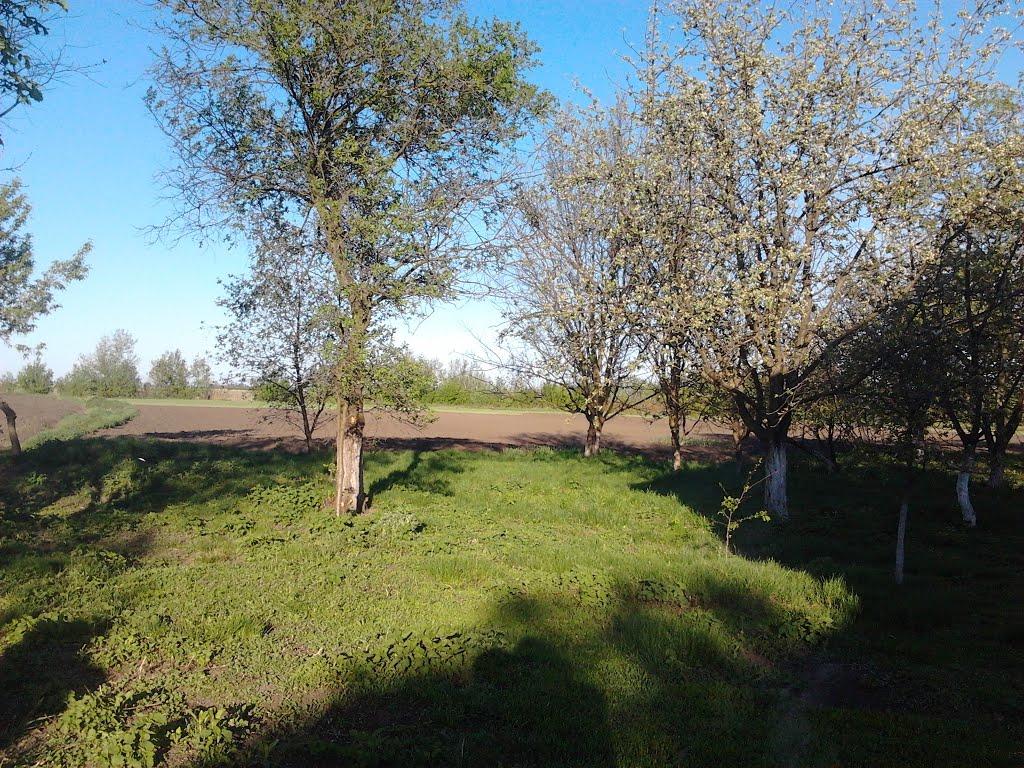 Кубракове з panoramio.com - Кубракове