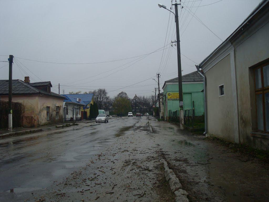 Підволочиськ з panoramio.com - Подволочиск