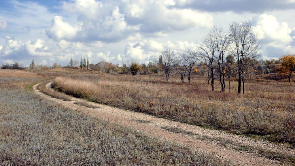 Дронівка з panoramio.com - Дронівка