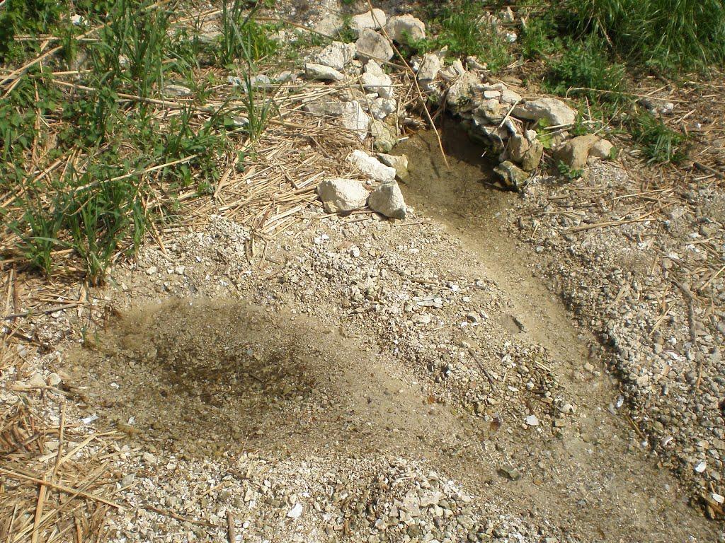 Петрово-Солониха з panoramio.com - Петрово-Солониха