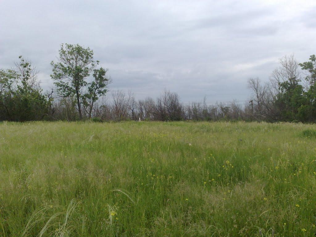 Катеринівка з panoramio.com - Катериновка