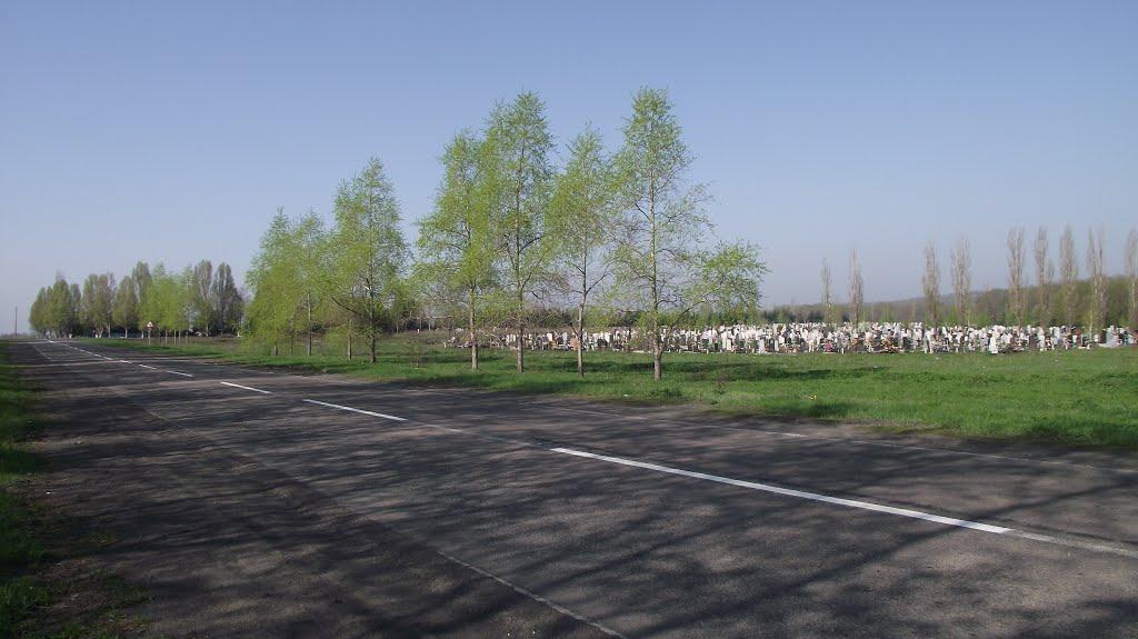 Сніжне з panoramio.com - Снежное