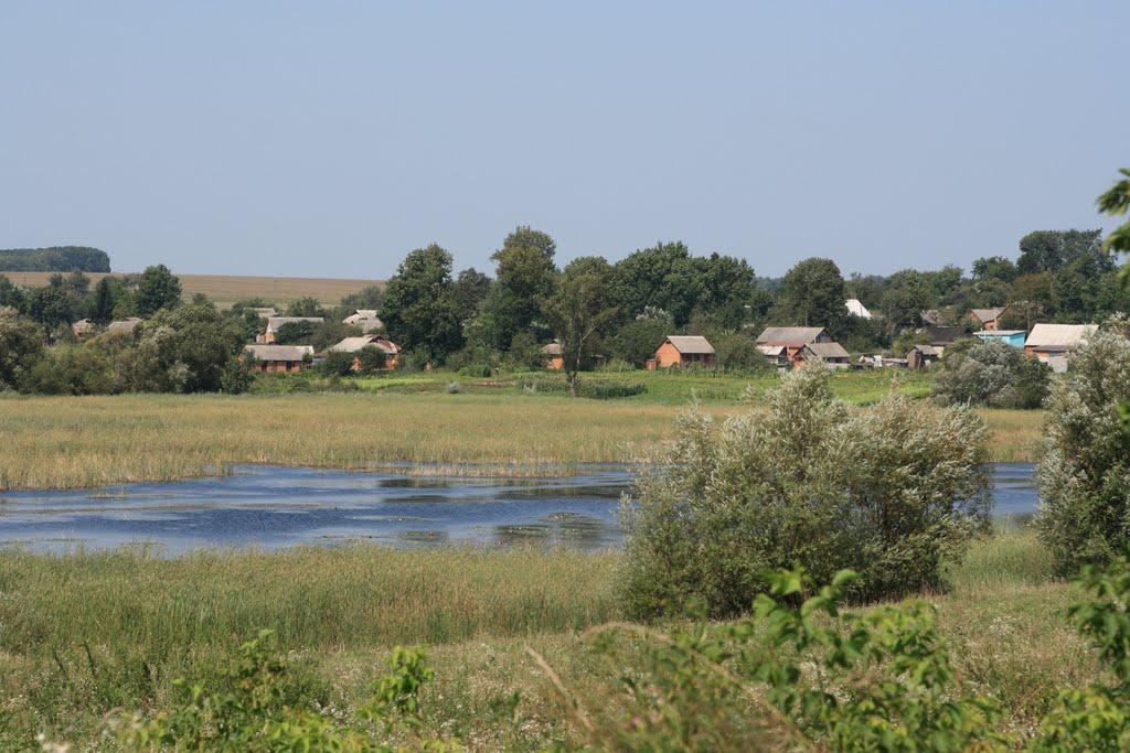 Рідкодуби з panoramio.com - Редкодубы