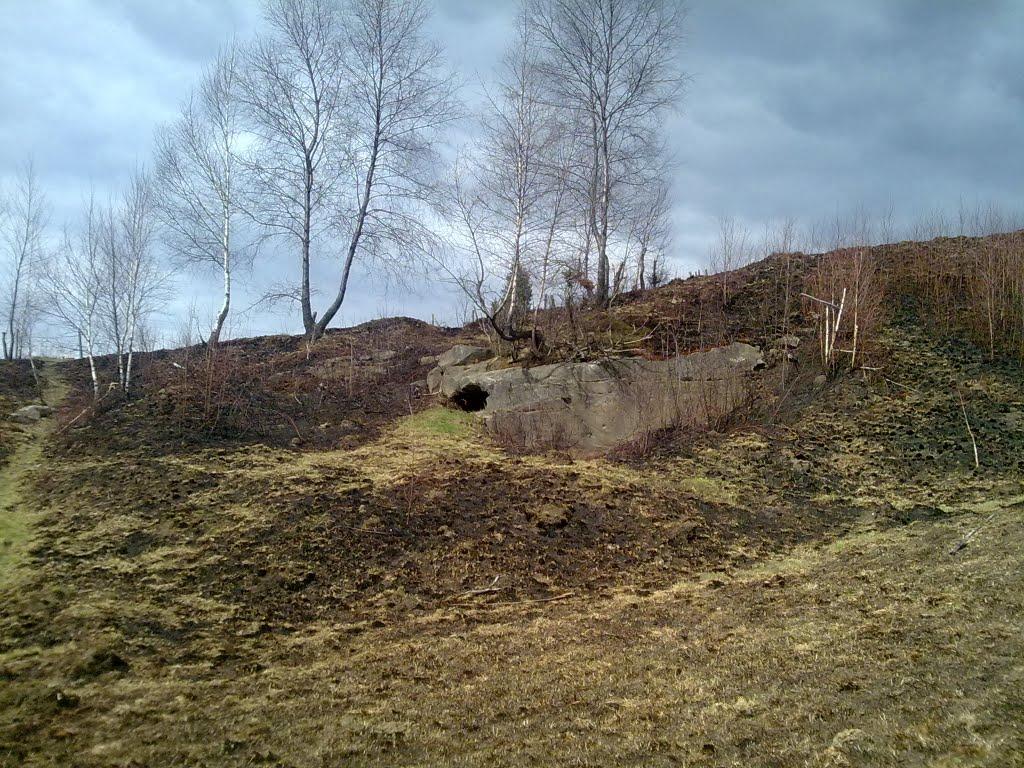 Вигода з panoramio.com - Вигода