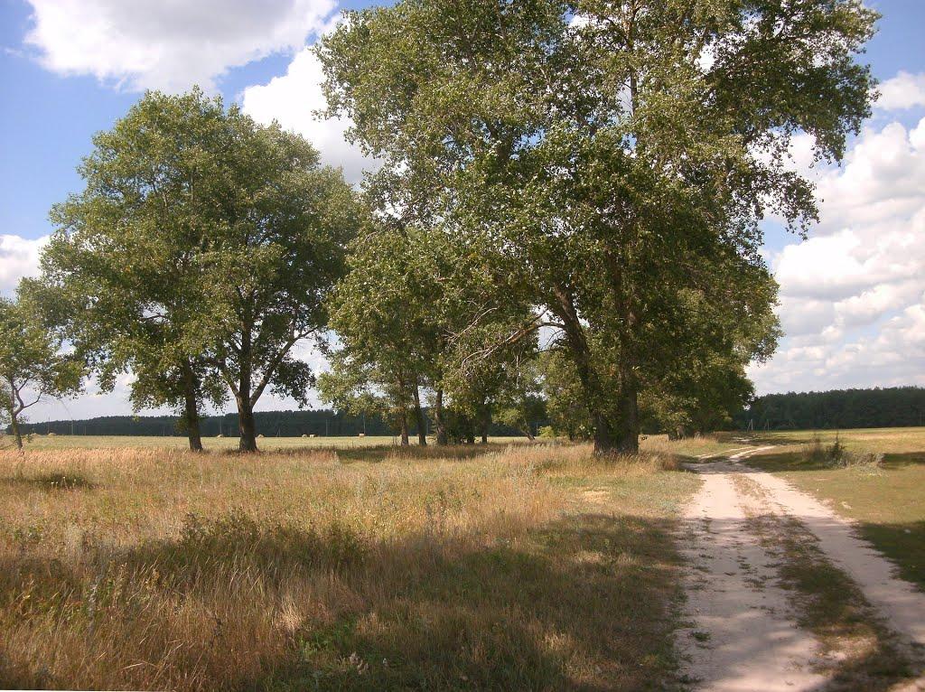 Лемешівка з panoramio.com - Лемешівка