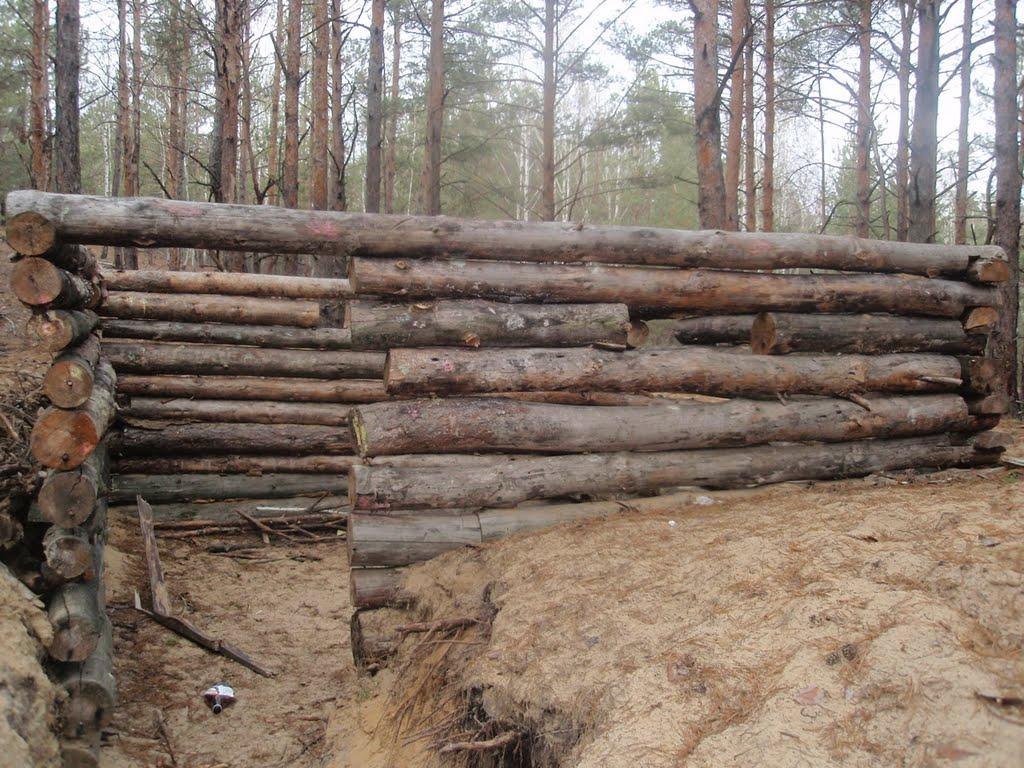 Гостомель з panoramio.com - Гостомель
