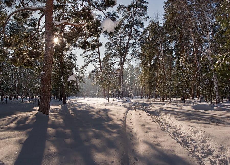 Кремінна з panoramio.com - Кременная