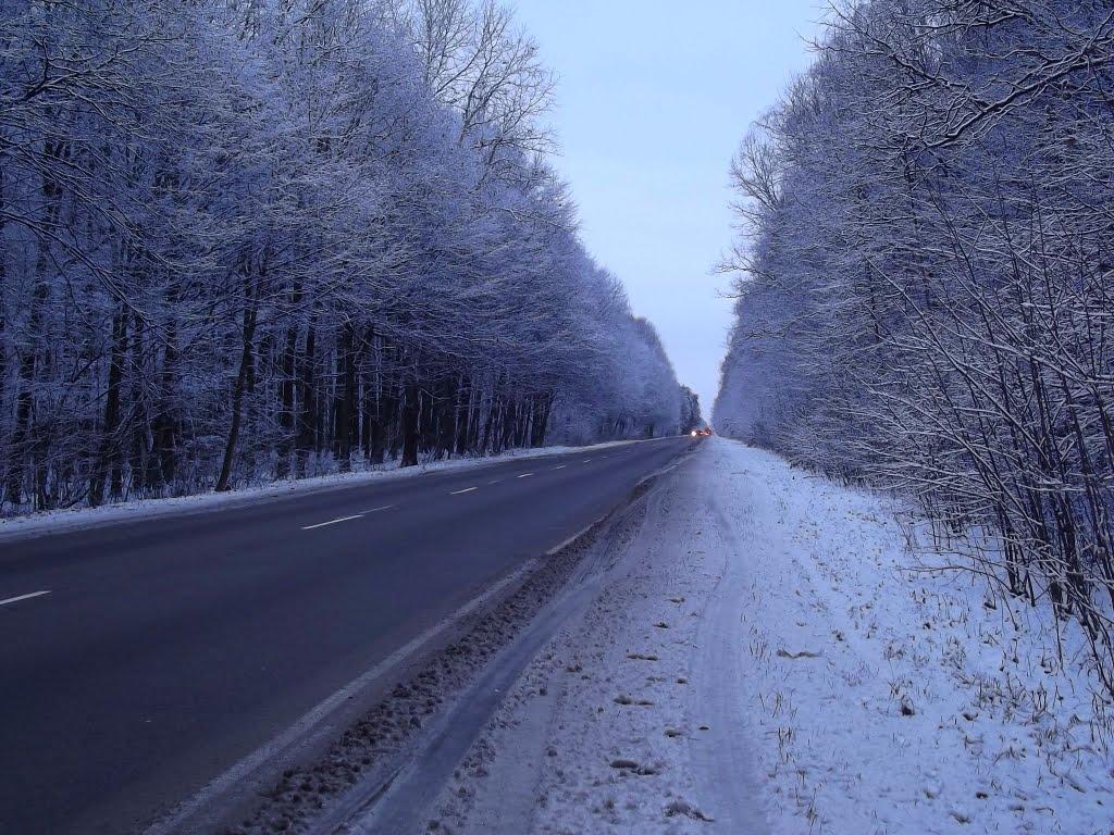 Лісопіль з panoramio.com - Лесополь