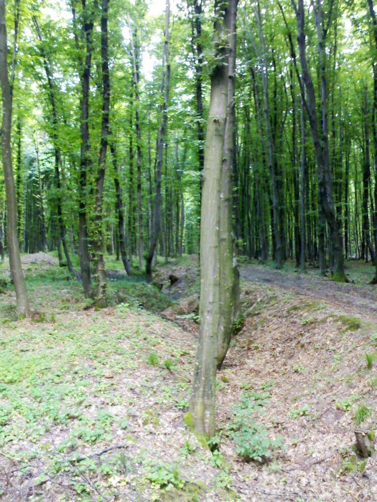 Держанівка з panoramio.com - Держанівка