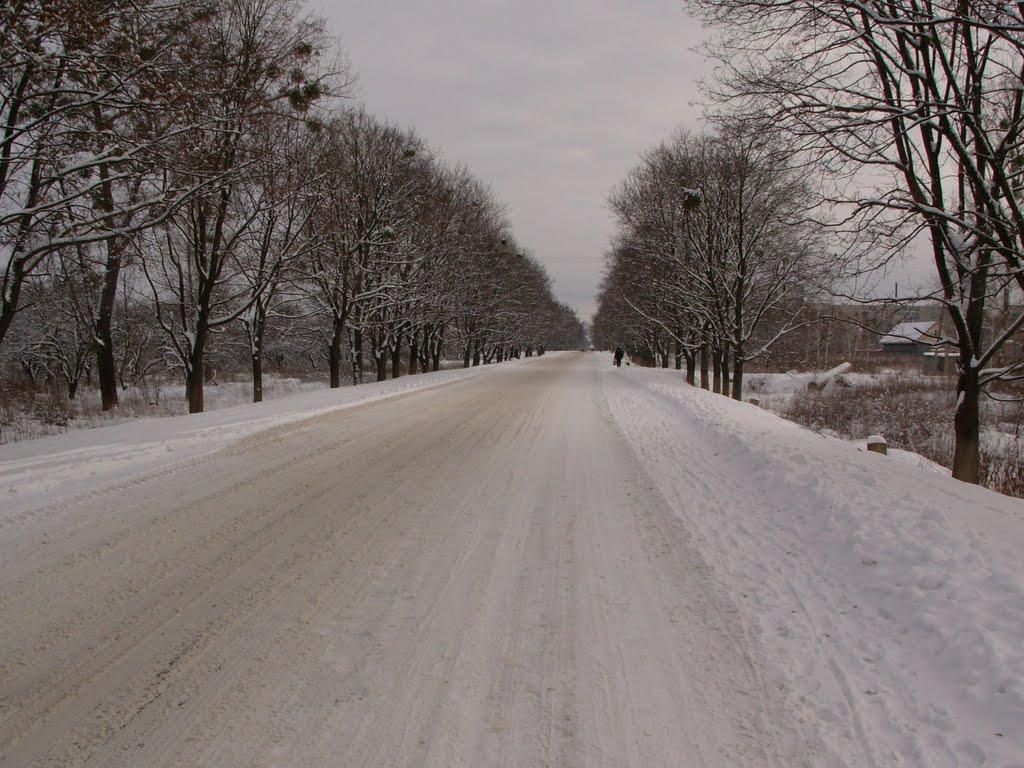 Чемужівка з panoramio.com - Chemuzhivka