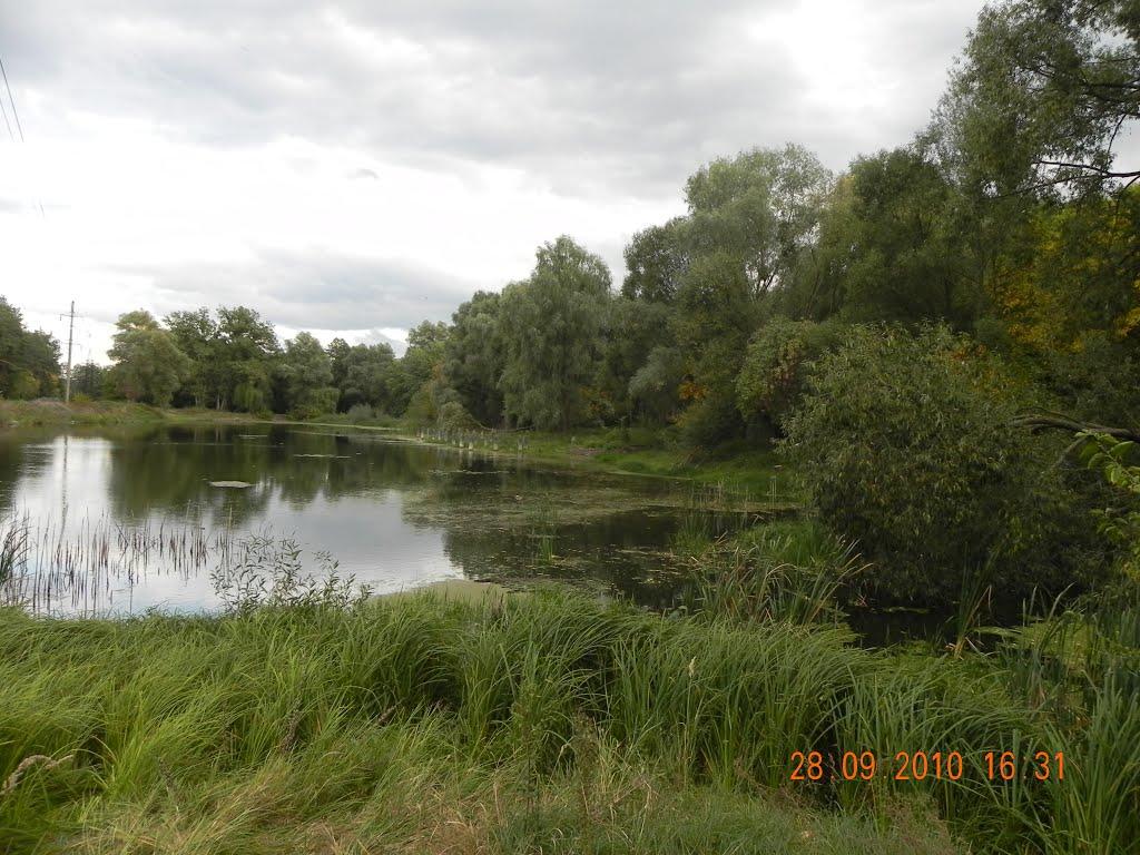 Гостомель з panoramio.com - Гостомель