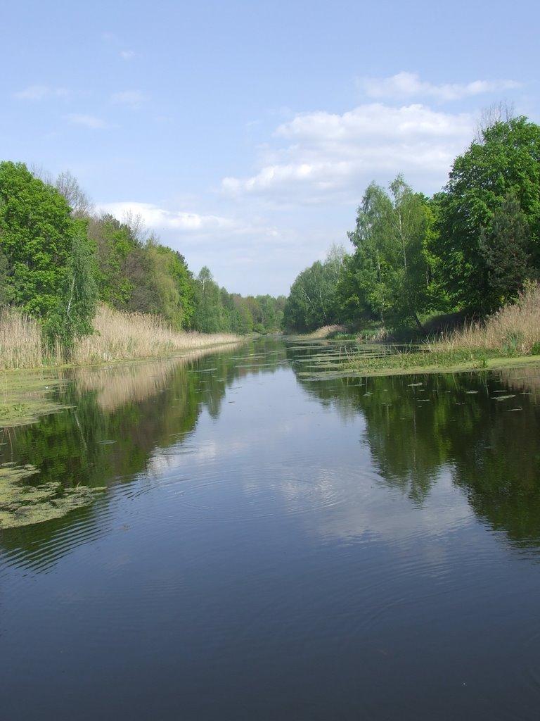 Свидівок з panoramio.com - Svydivok