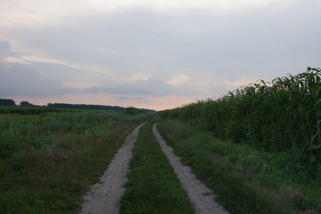 Чемерпіль з panoramio.com - Чемерпіль