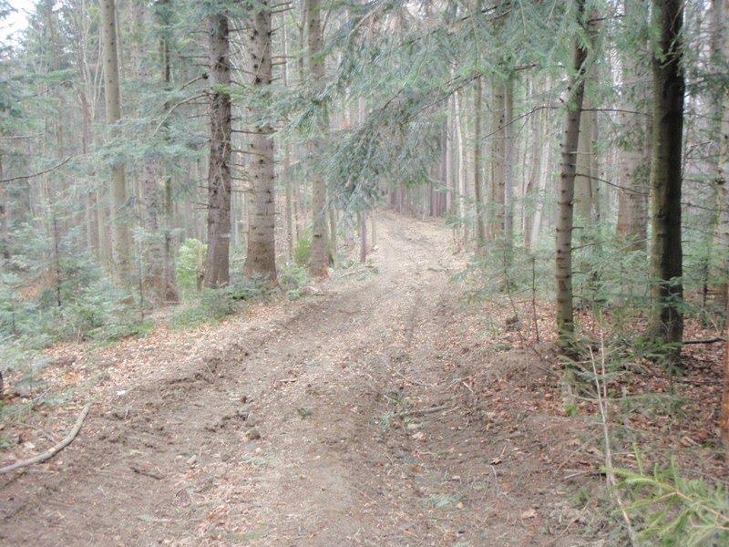 Вишка з panoramio.com - Вышка