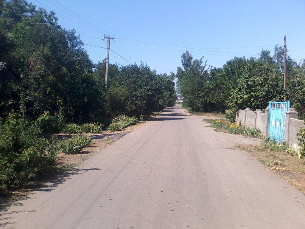Новотимофіївка з panoramio.com - Новотимофіївка