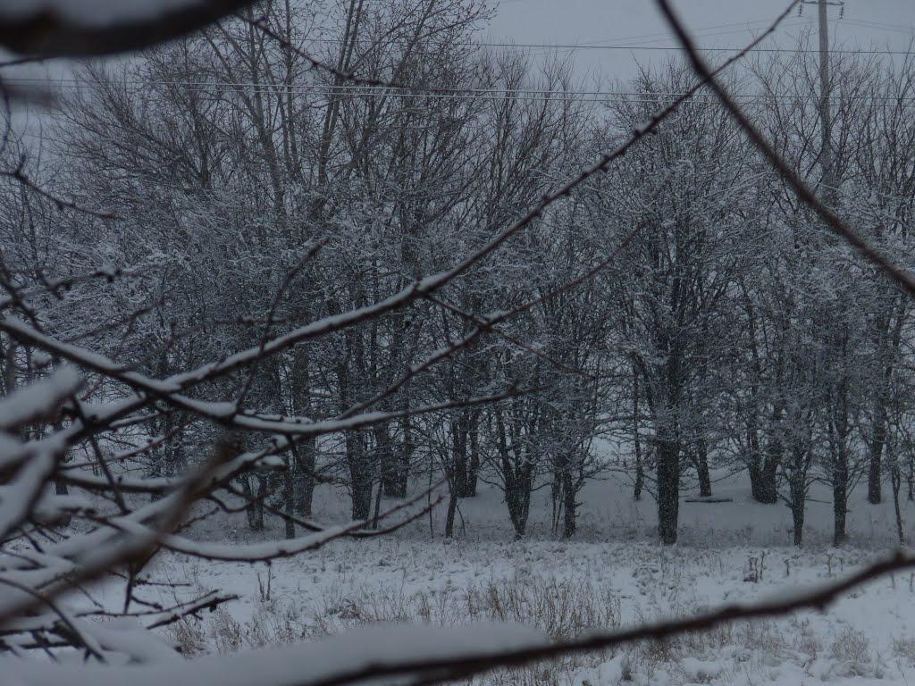 Талаківка з panoramio.com - Талаківка