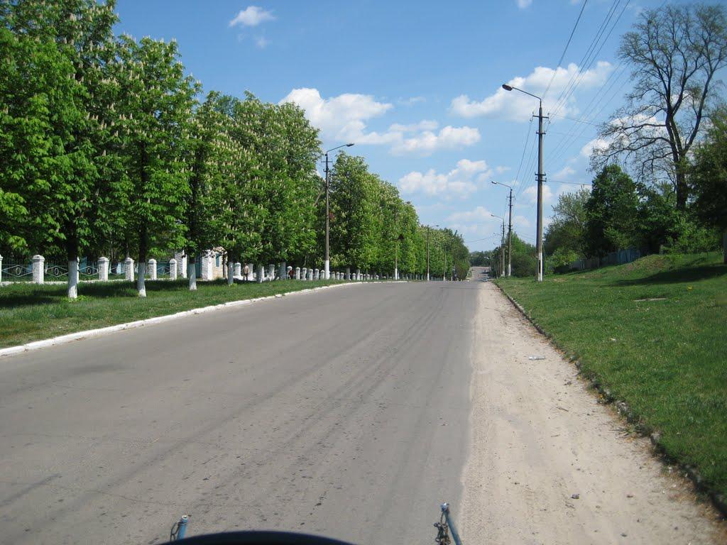 Срібне з panoramio.com - Сребное