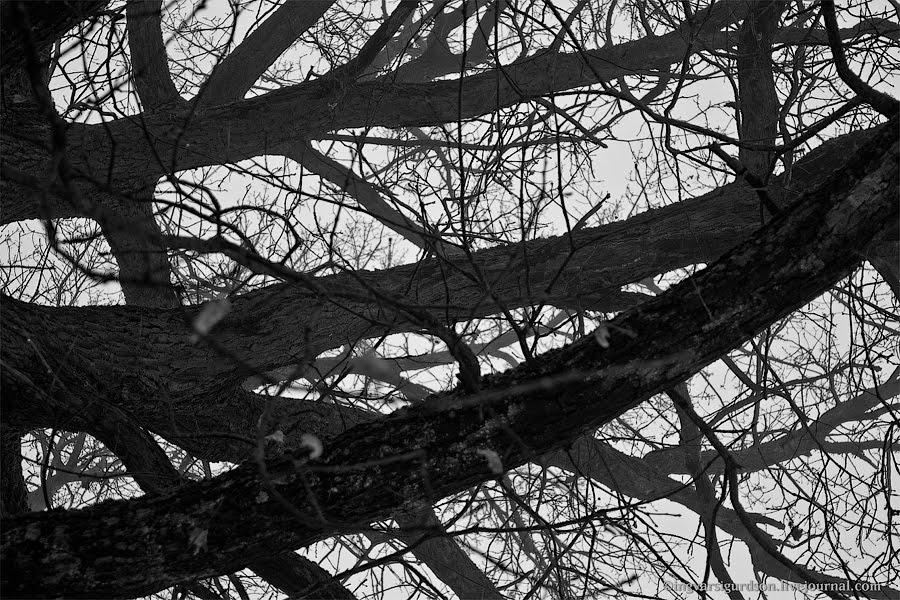 Чернігів з panoramio.com (ч.5) - Чернігів