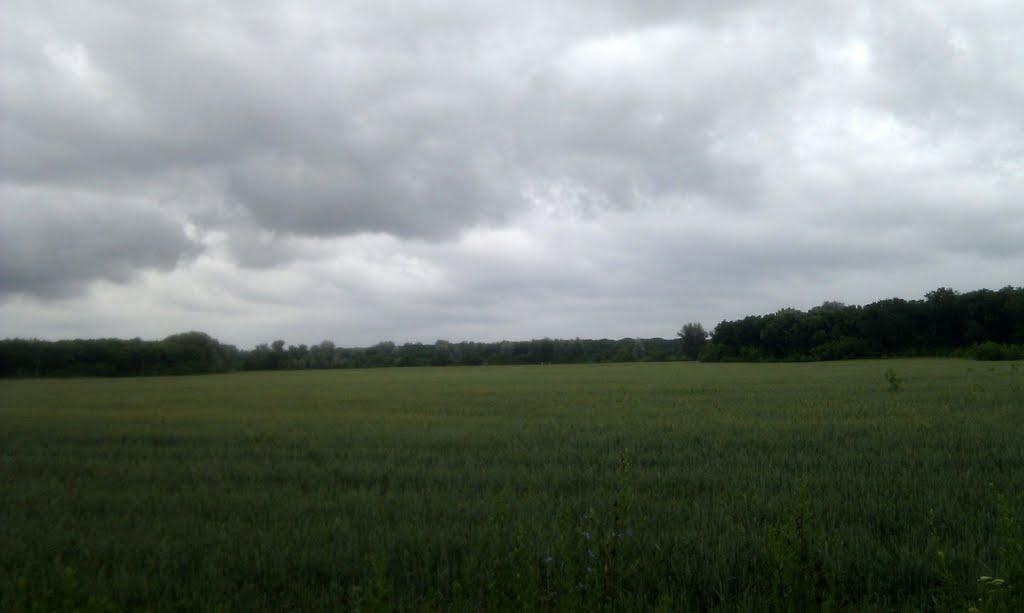 Дронівка з panoramio.com - Дроновка